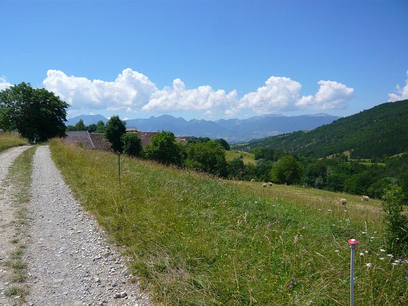 trieve (117).JPG